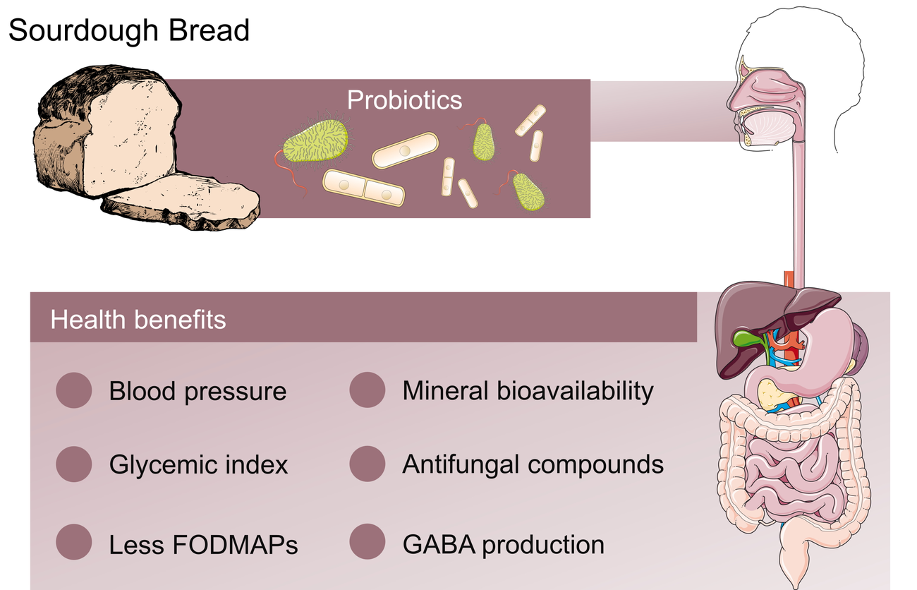 gut health