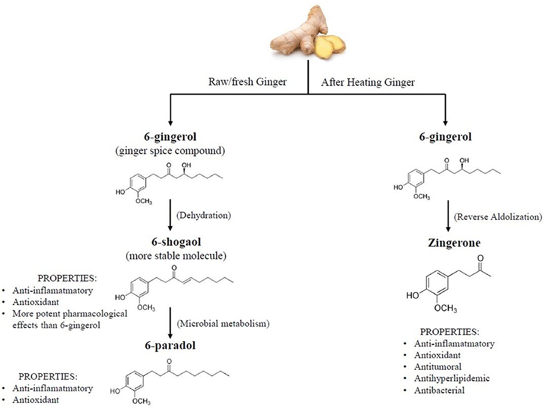 Scientifically Proven Foods