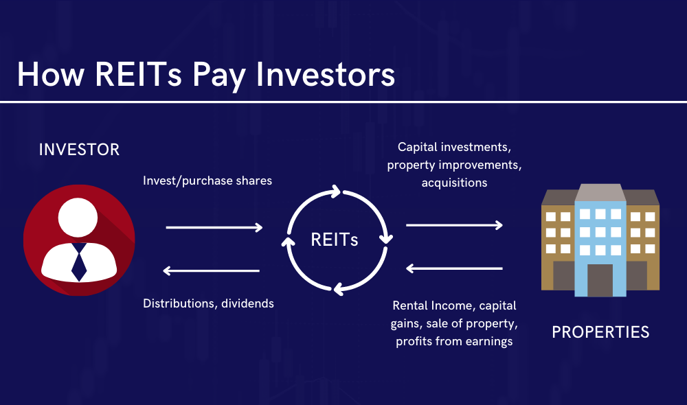 Real Ways Bonds