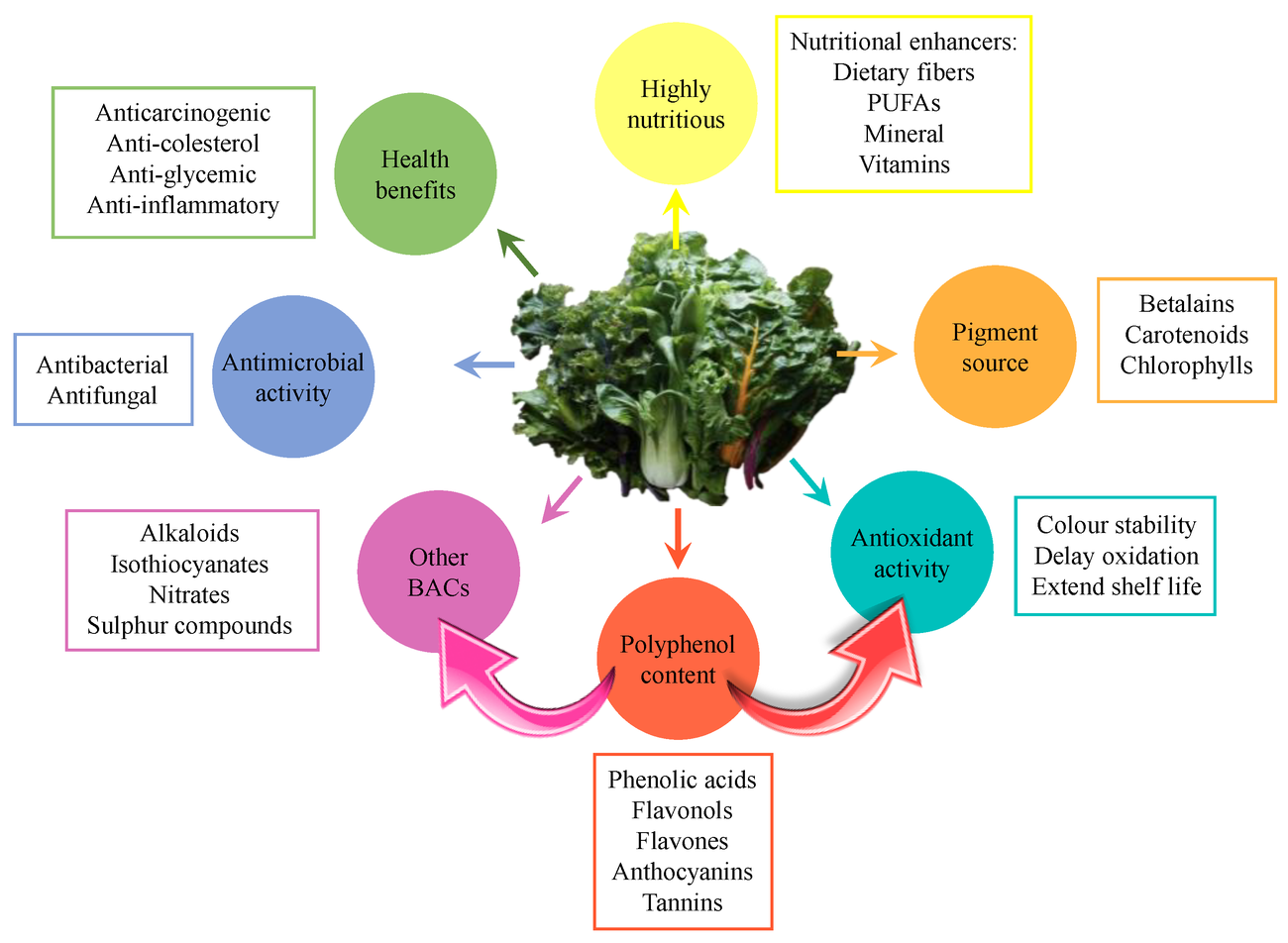 Scientifically Proven Foods