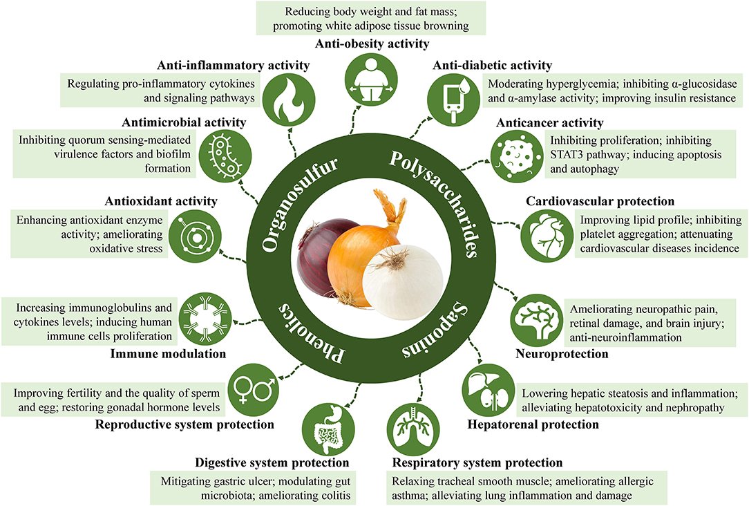 Scientifically Proven Foods