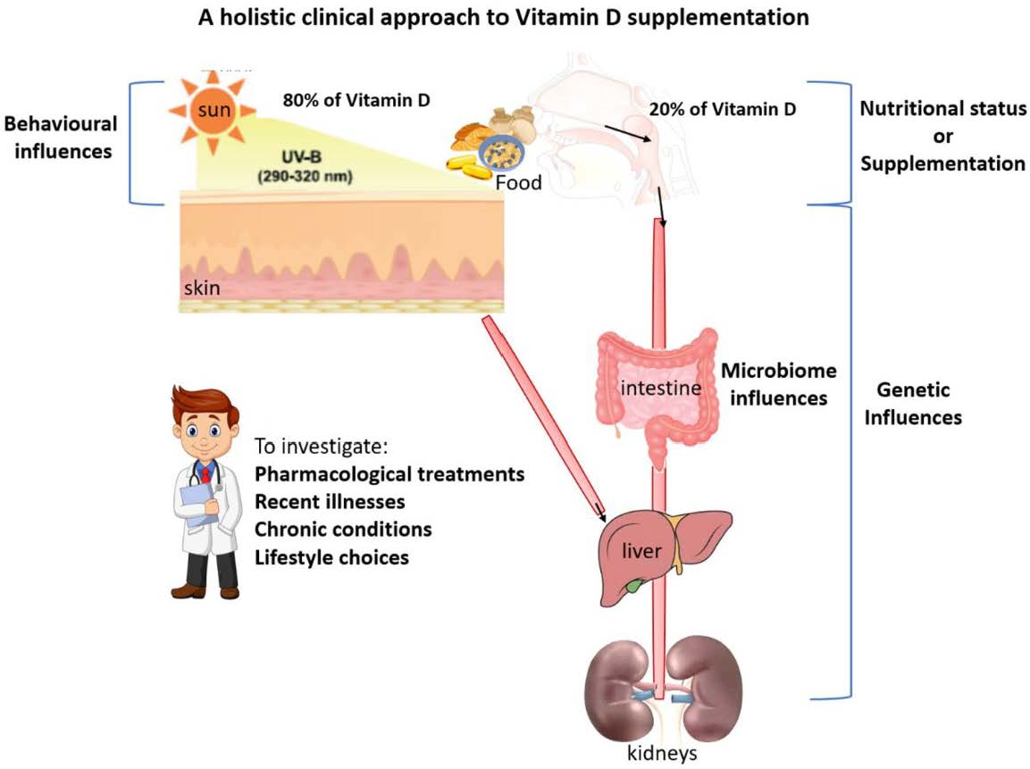 Scientifically Proven Vitamins