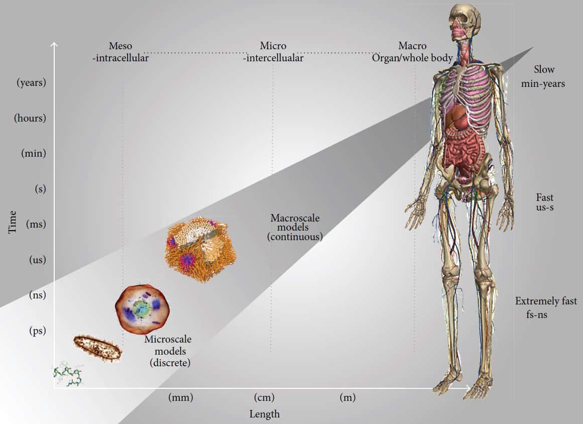 Medical Breakthroughs 